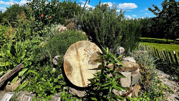 Plantes médicinales et chamanisme amazonien