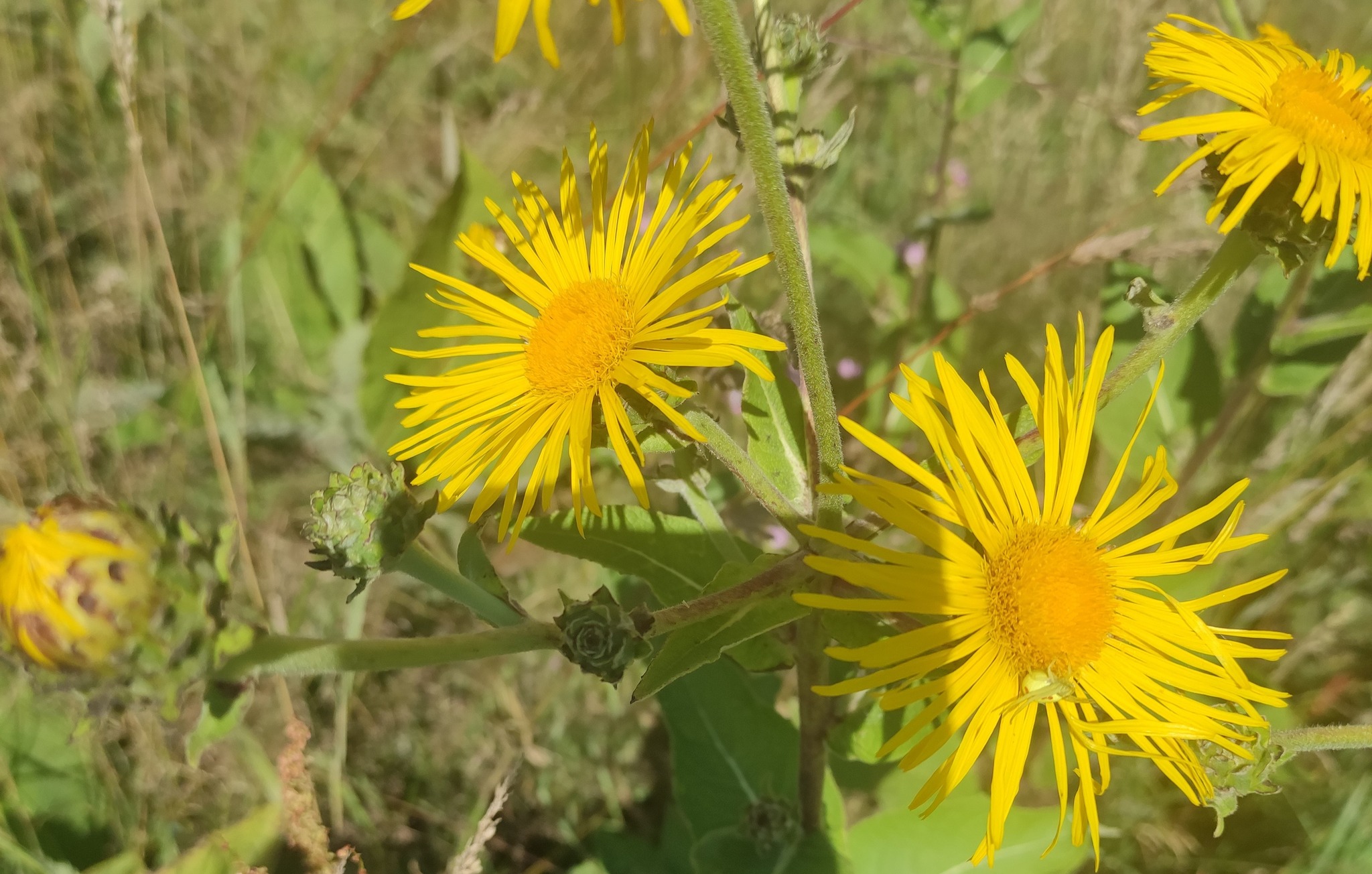 Fermeture d'été