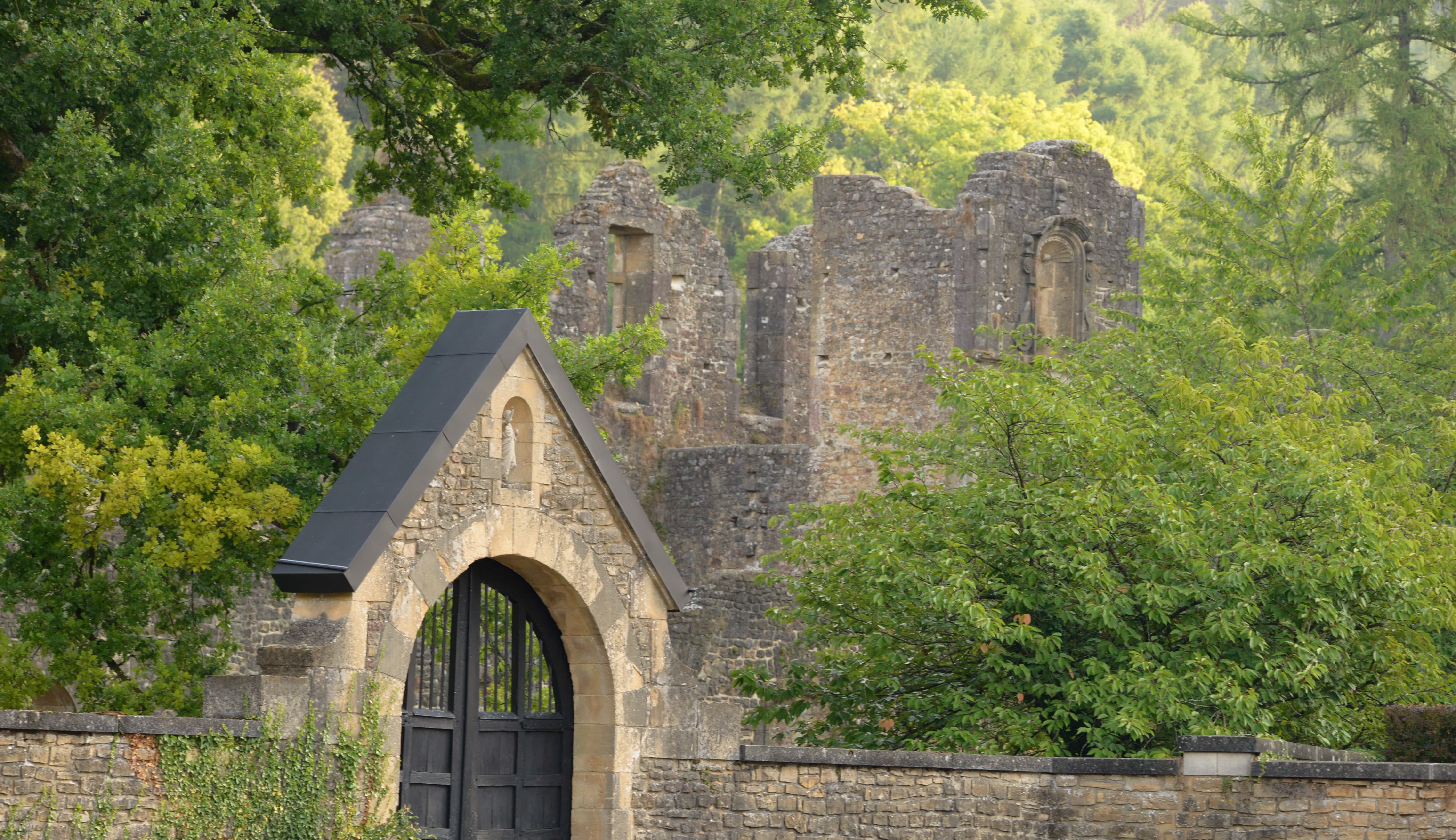 Plantes médicinales et retraite à l'abbaye d'Orval