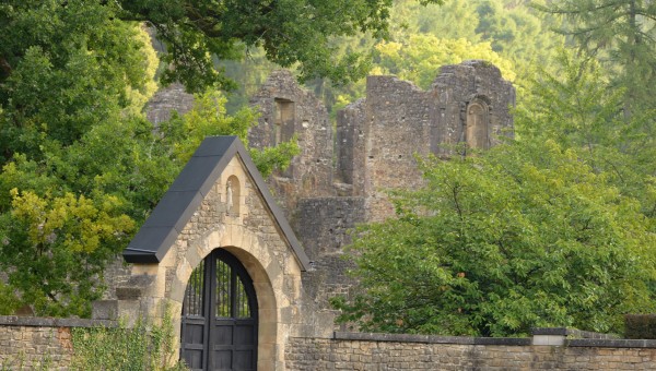 Plantes médicinales et retraite à l'abbaye d'Orval