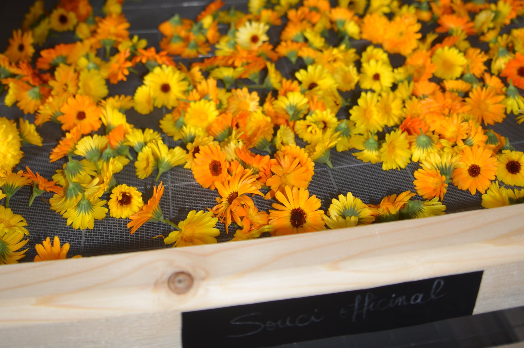 Bouquets suspendus et claies de bois