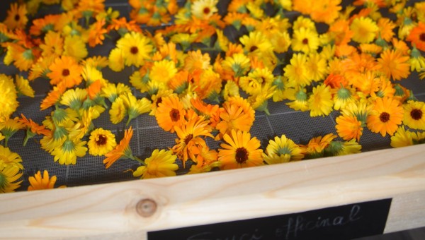 Bouquets suspendus et claies de bois