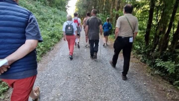 Journée découverte des plantes médicinales sauvages